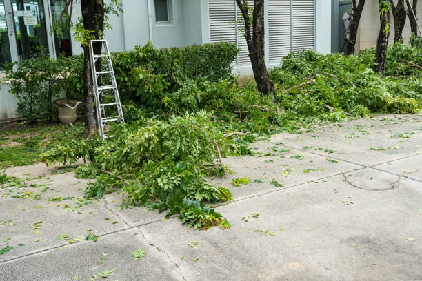 Best Emergency Storm Tree Removal  in North Star, DE